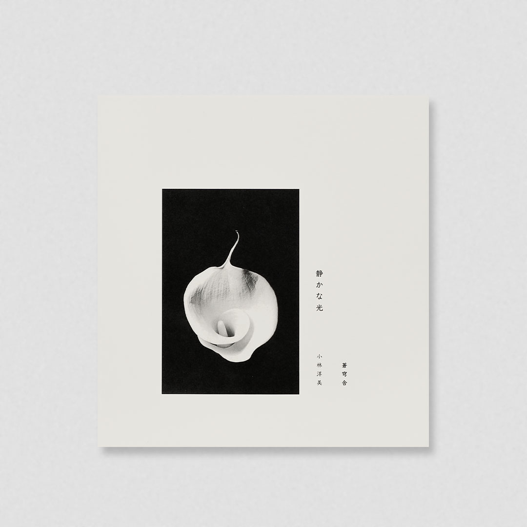 BOOK and SONS distribution Facebook ad: Silent Light / Hiromi Kobayashi