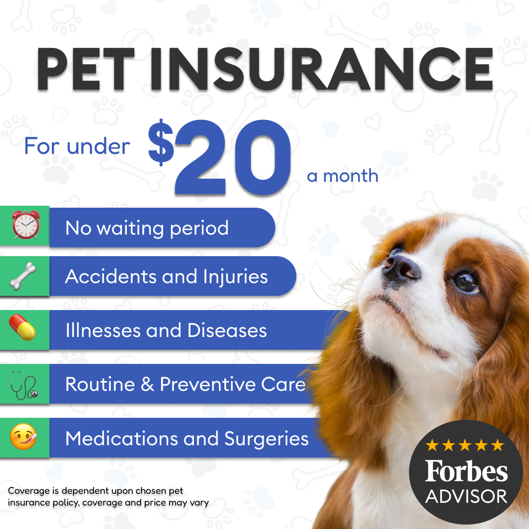 Forbes Advisor Facebook ad