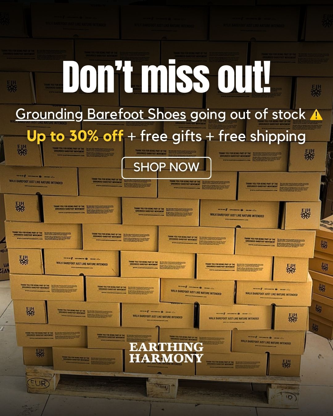 Earthing Harmony Facebook ad