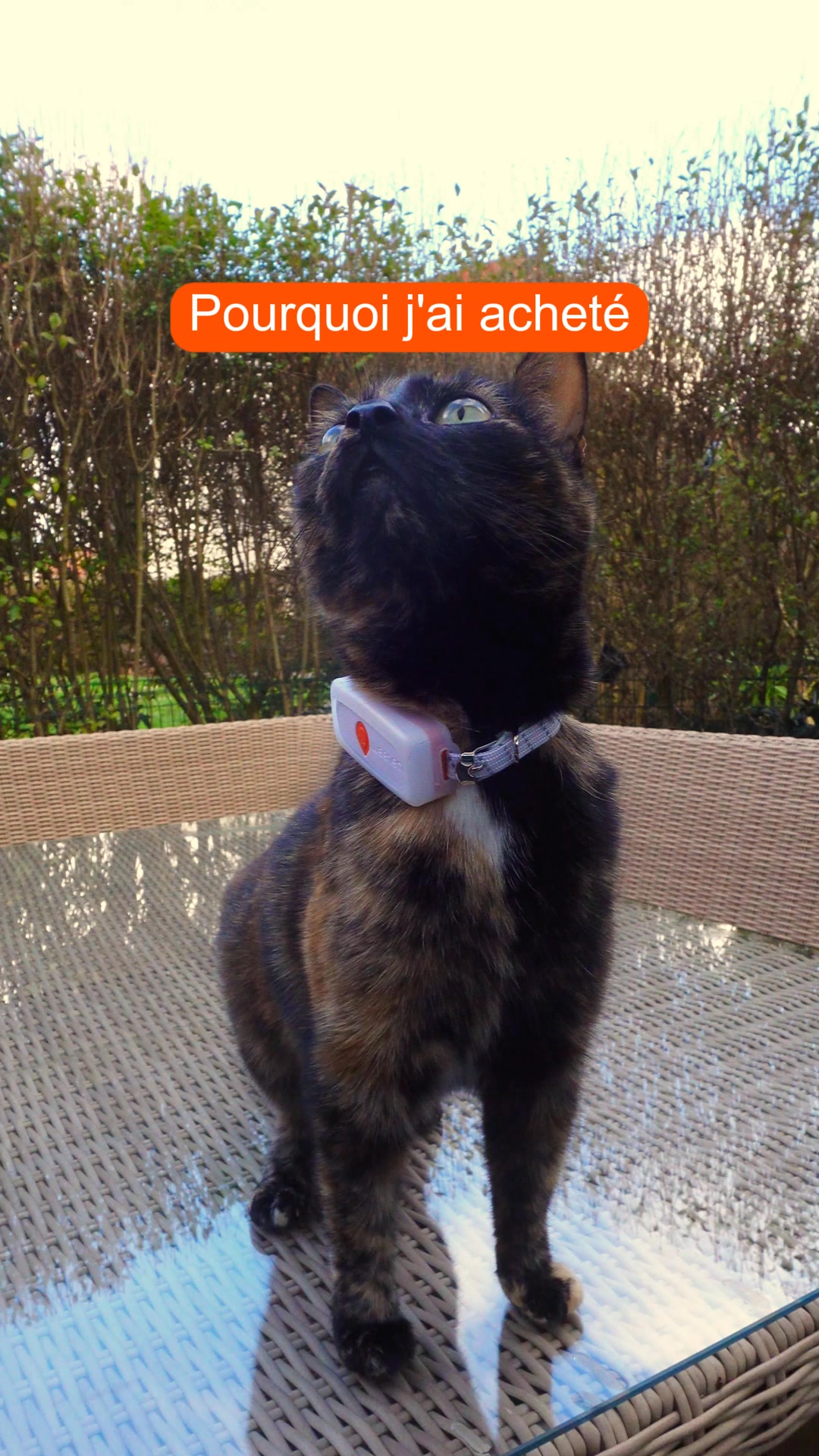 Weenect Facebook ad: Toujours localisé