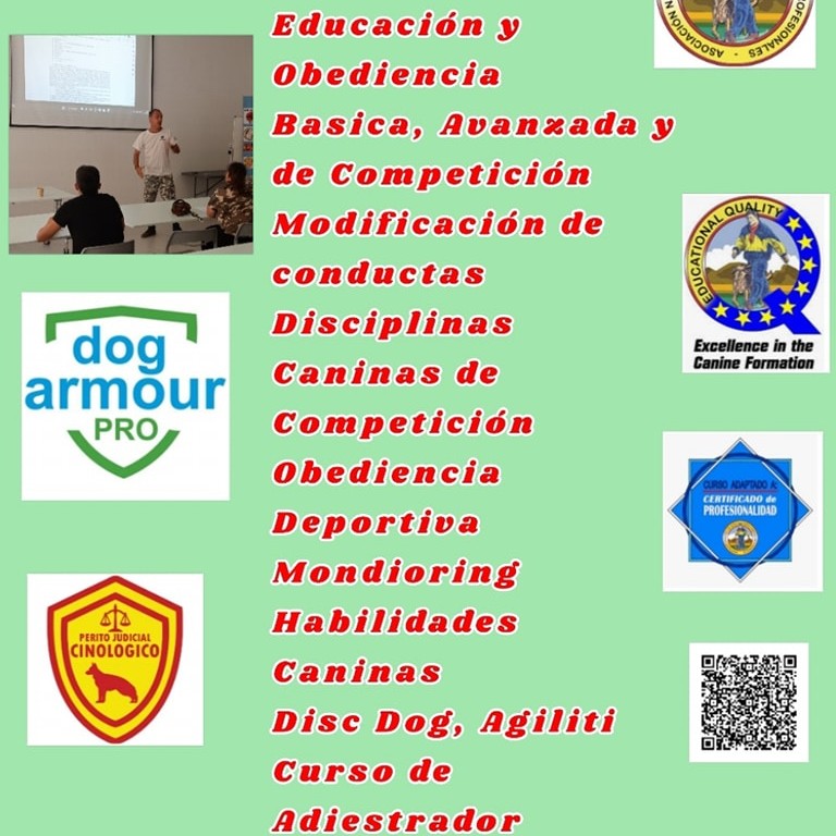 ADIESTRAMIENTO CASTELLON Facebook ad: Chatear en Messenger