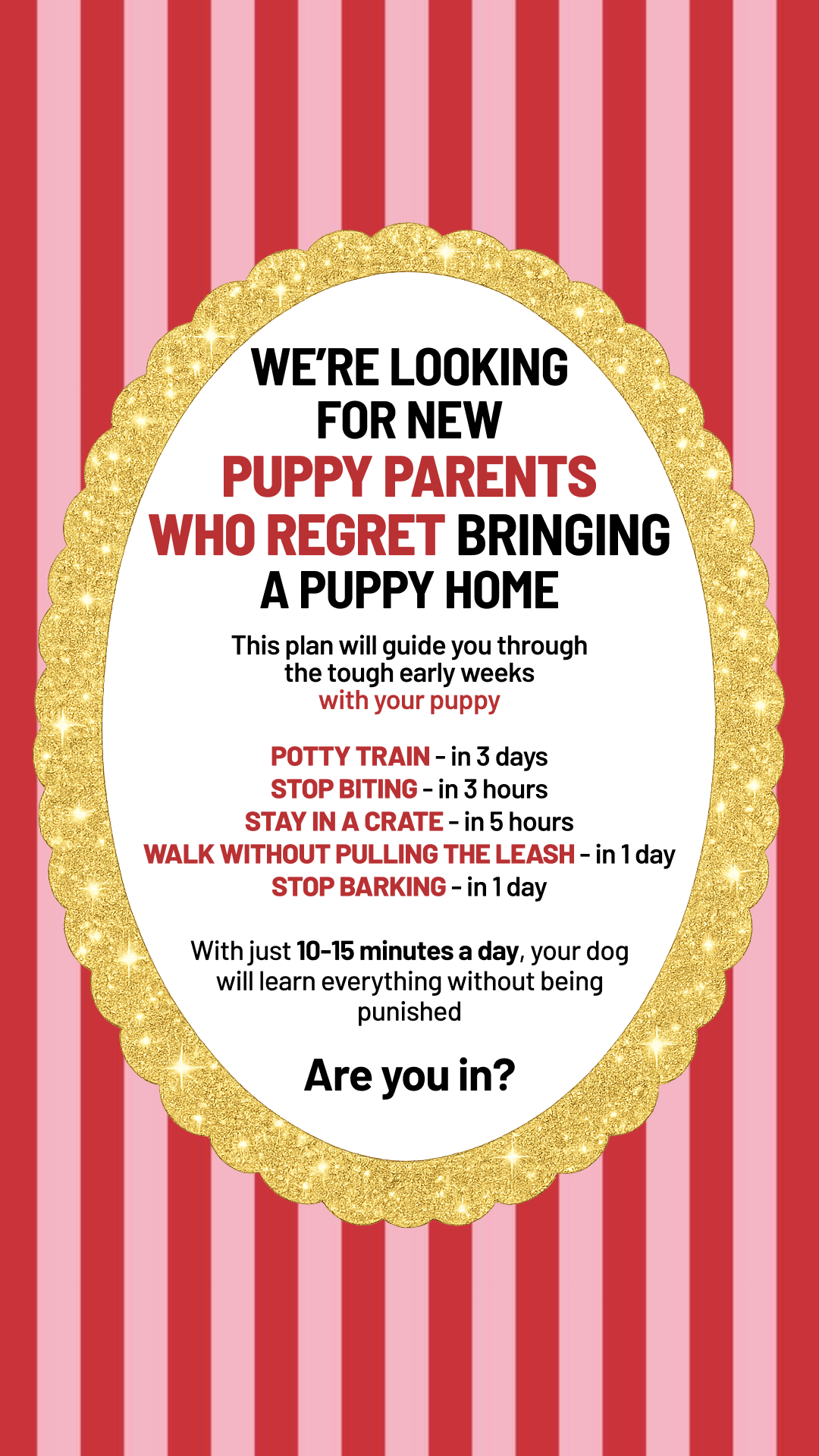 Dog Training & Tips Facebook ad