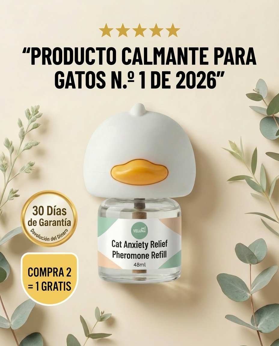 Veluna Mexico Facebook ad: La verdadera razón detrás del mal comportamiento felino