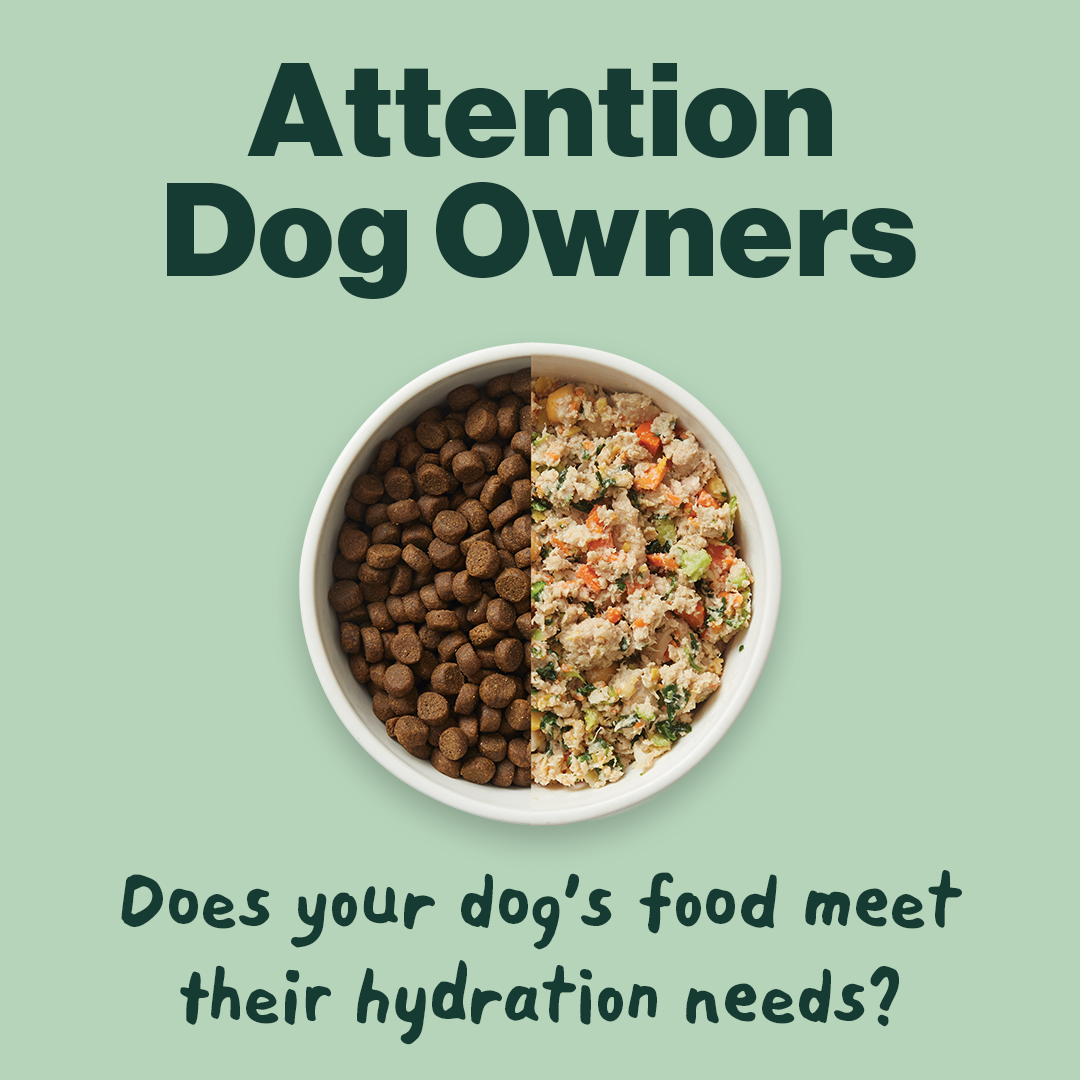 The Farmer's Dog Facebook ad
