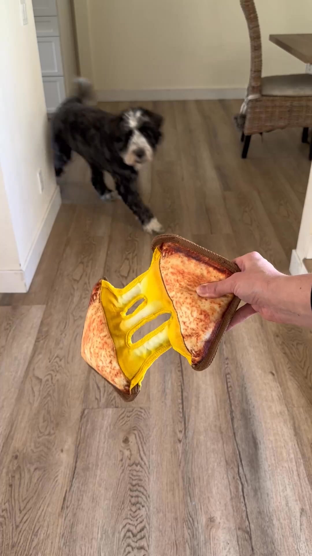 Doggijuana Facebook ad from Jun 15, 2026