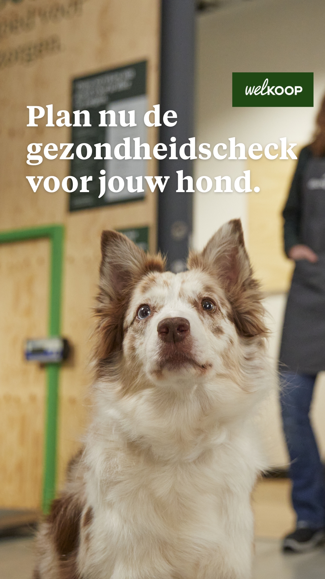 Welkoop Facebook ad