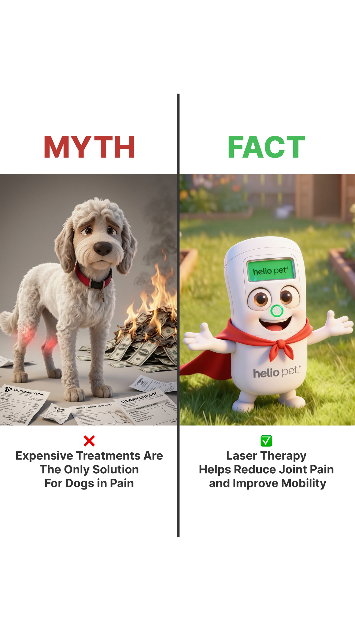 Helio Pet Facebook ad