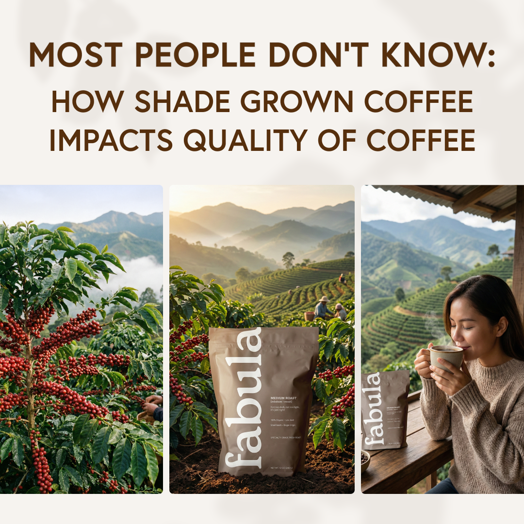 Fabula Coffee Facebook ad