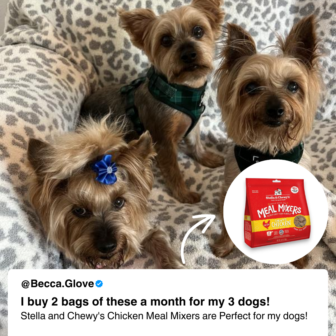 Stella & Chewy's Facebook ad