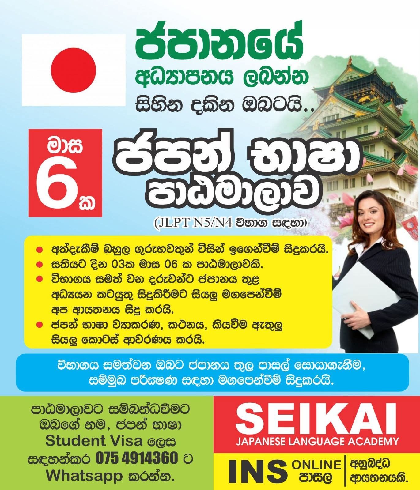 INS online school Facebook ad