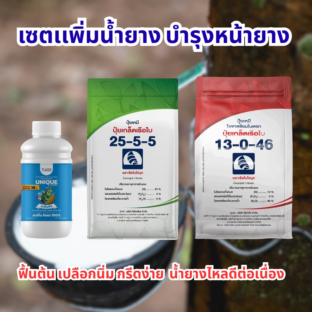 มั่งมีการเกษตร Facebook ad: เซตเร่งน้ำยาง บำรุงหน้ายาง ฟื้นต้นให้พร้อมกรีด!