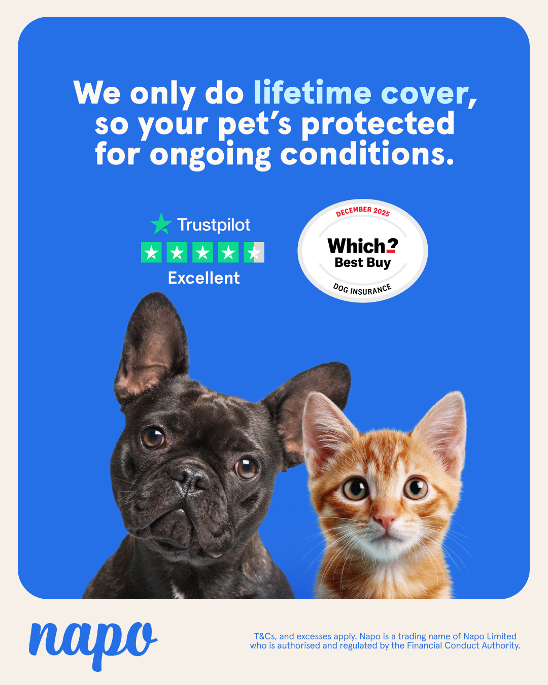 Napo Pet Insurance Facebook ad