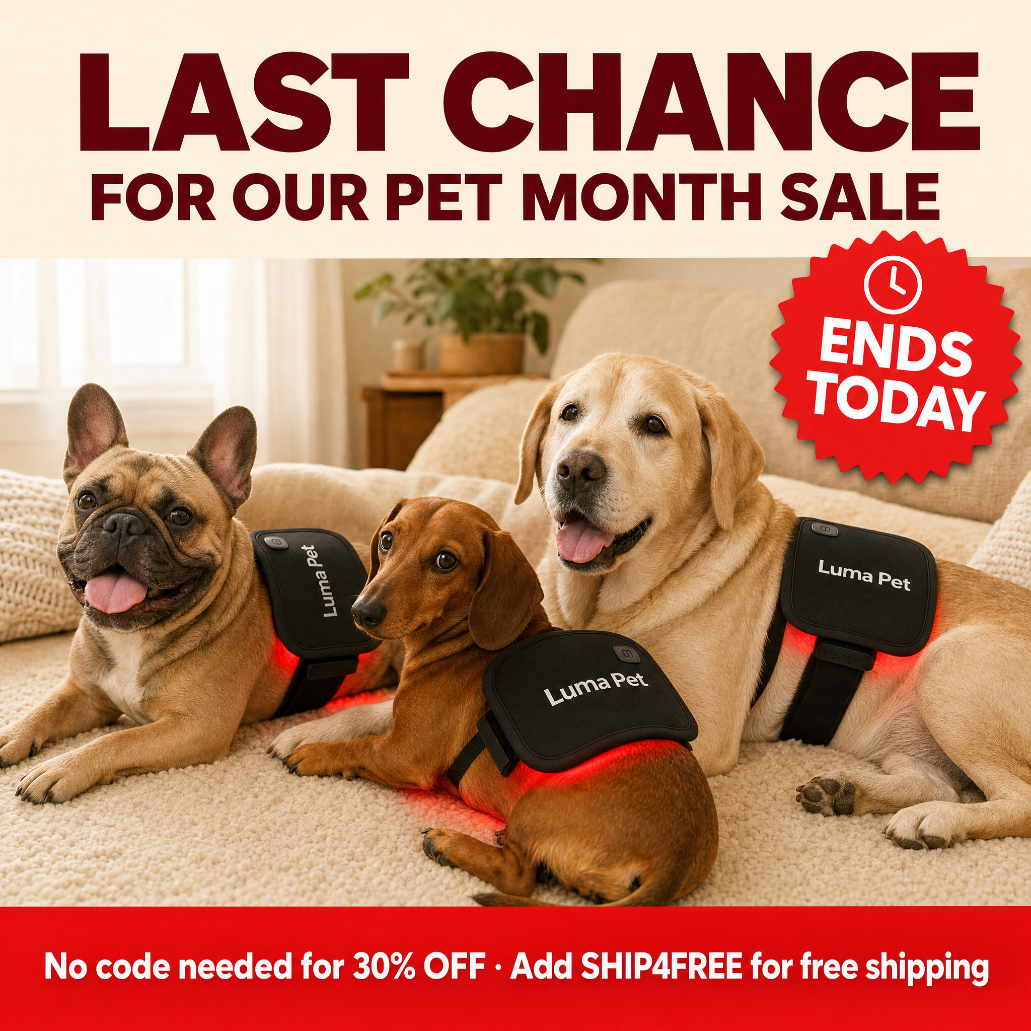 Luma Pet Facebook ad