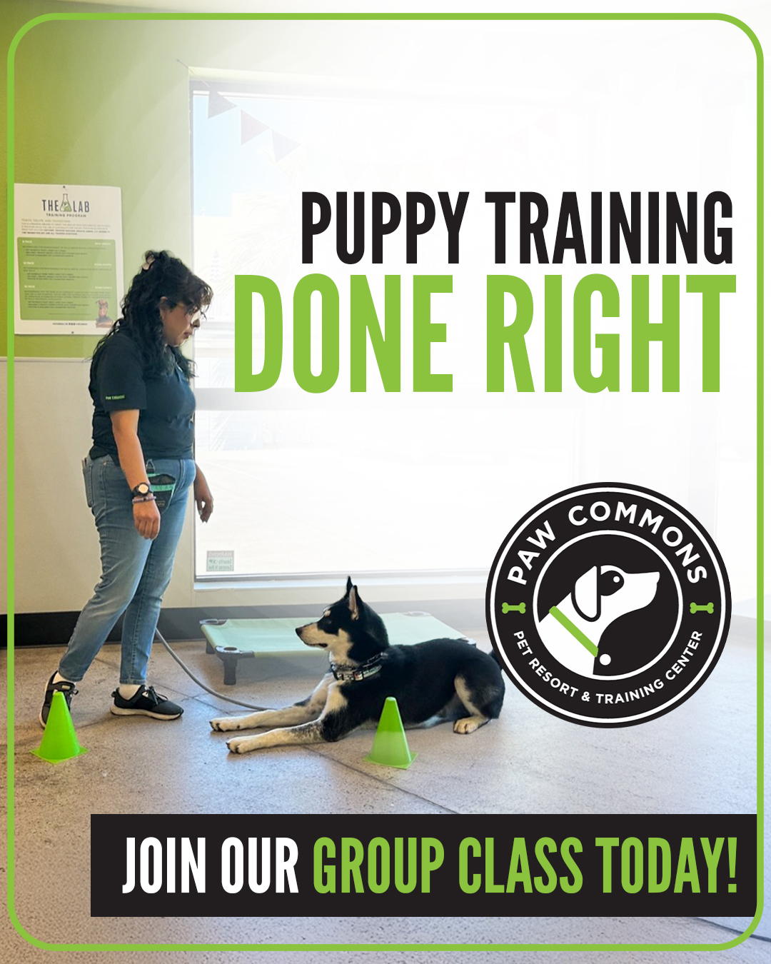 Paw Commons Pet Resort & Training Center - Hillcrest Facebook ad: Your Pup's Best Behavior Starts Here