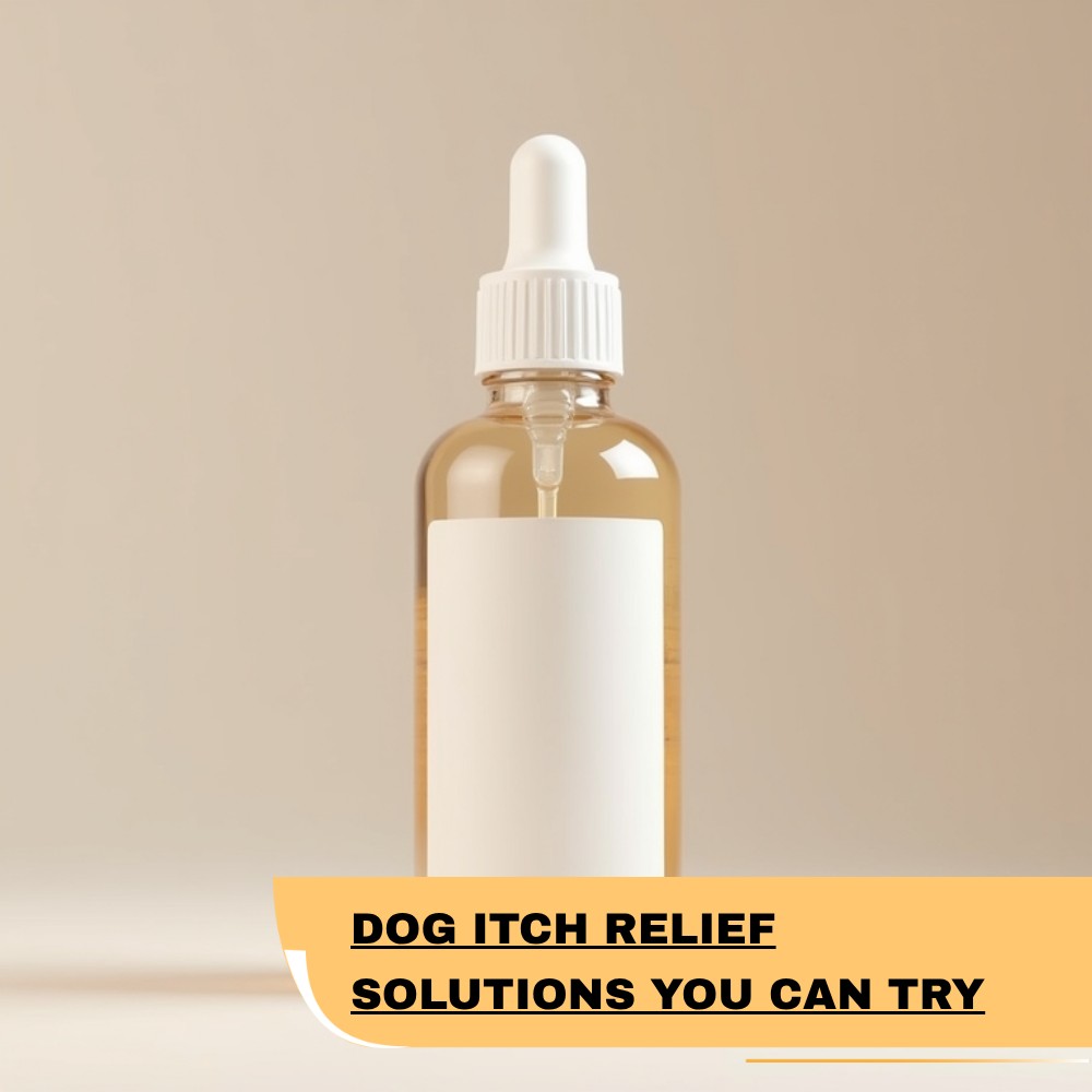 SearchArena Avenue Facebook ad: Explore Remedies For Dog Itch