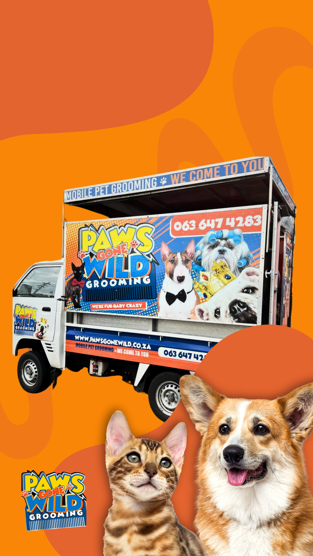 Paws Gone Wild Mobile Pet Grooming Facebook ad from Feb 23, 2026