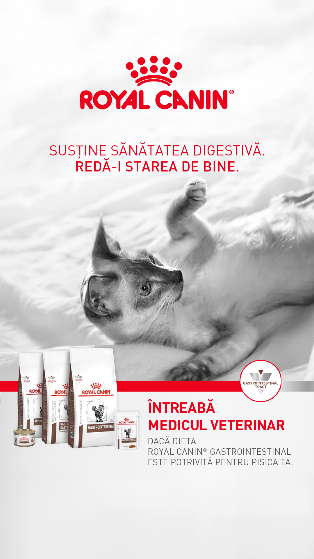 Royal Canin Facebook ad from May 14, 2026