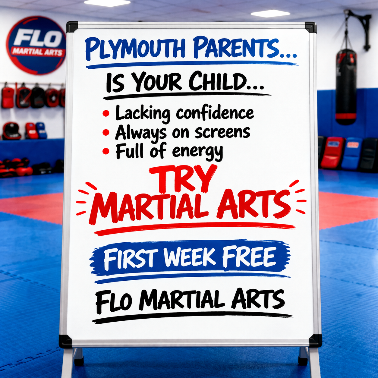 Flo Martial Arts Facebook ad