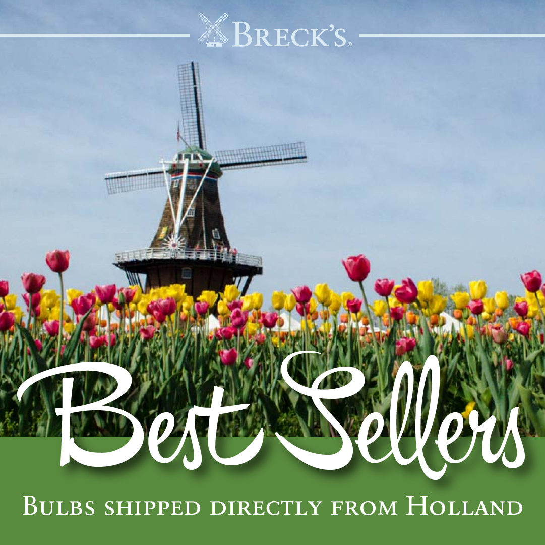 Breck's Bulbs Facebook ad