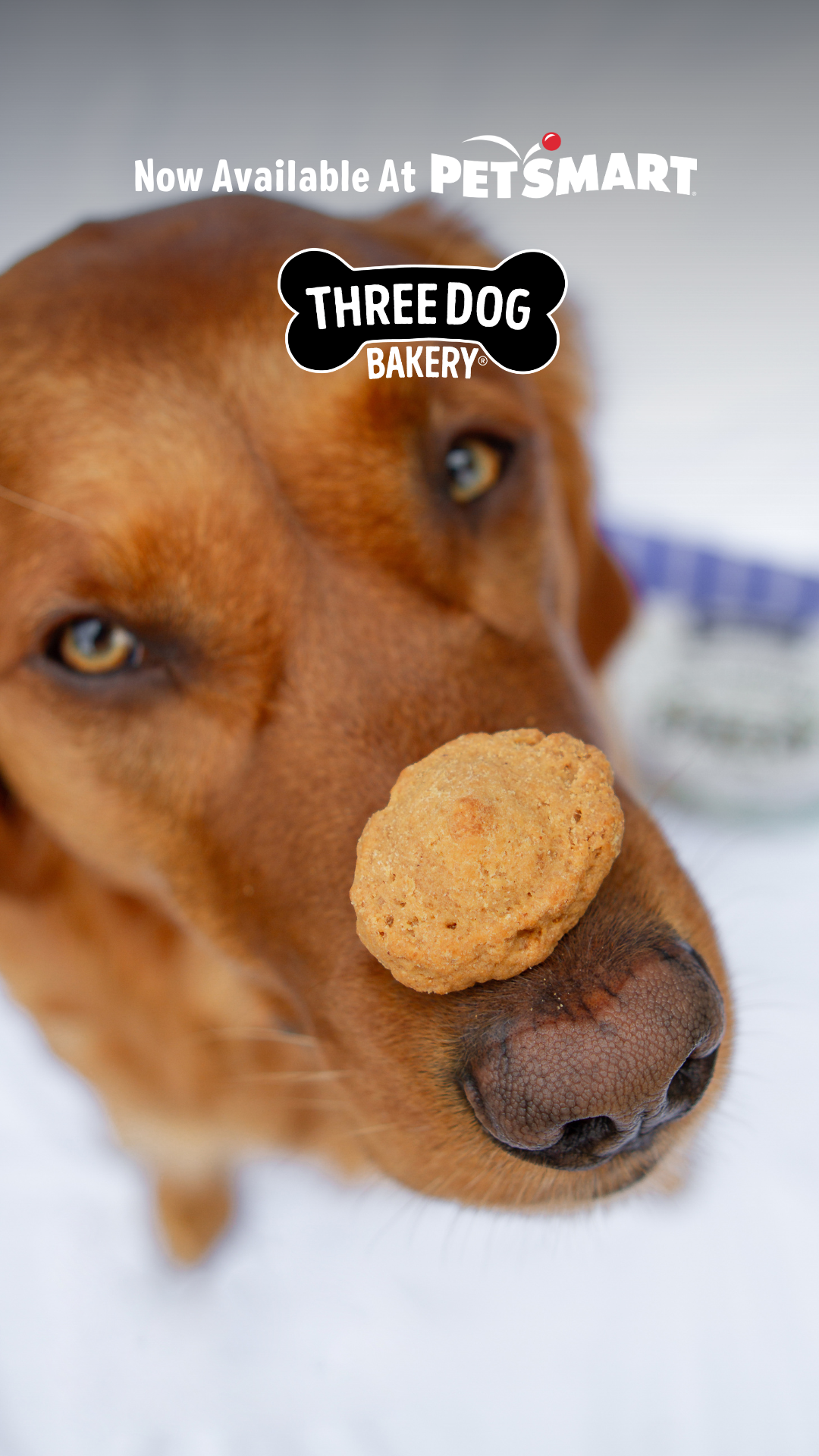 Three Dog Bakery Facebook ad