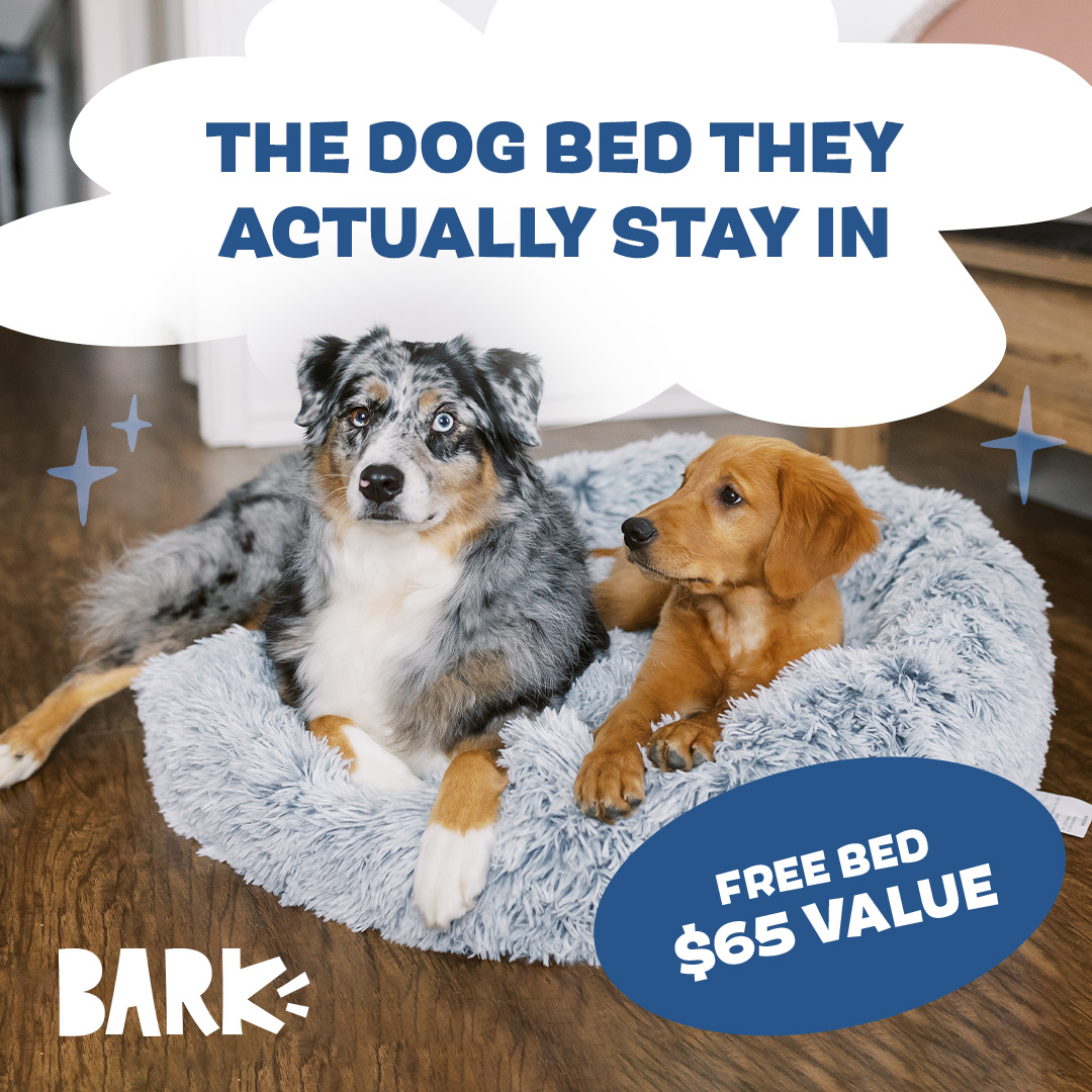 BarkBox Facebook ad