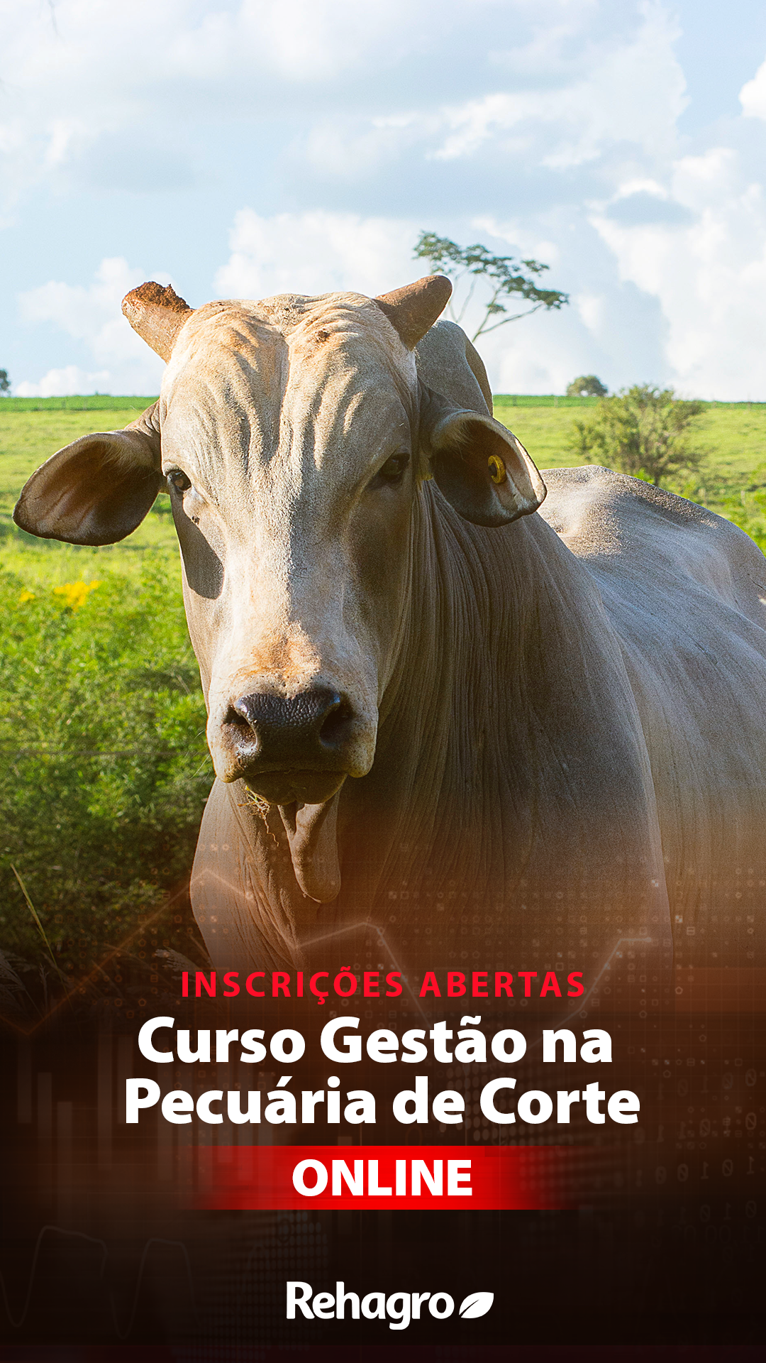 Rehagro Corte Facebook ad from May 14, 2025