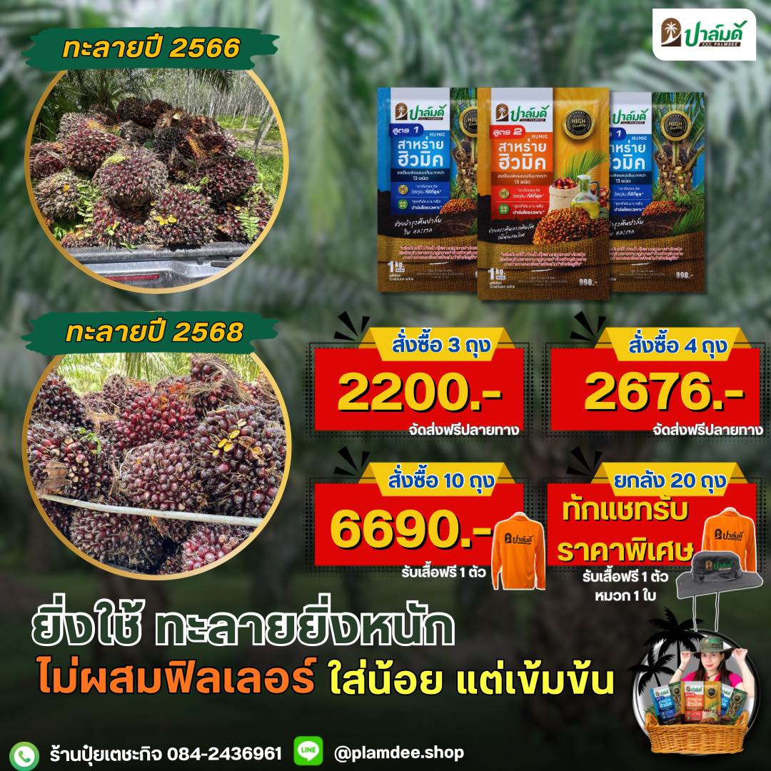 ร้านปุ๋ยเตชะกิจ - หมวยปาล์มดี จำหน่ายปุ๋ยปาล์มดีจากโรงงาน 084-2436961 Facebook ad