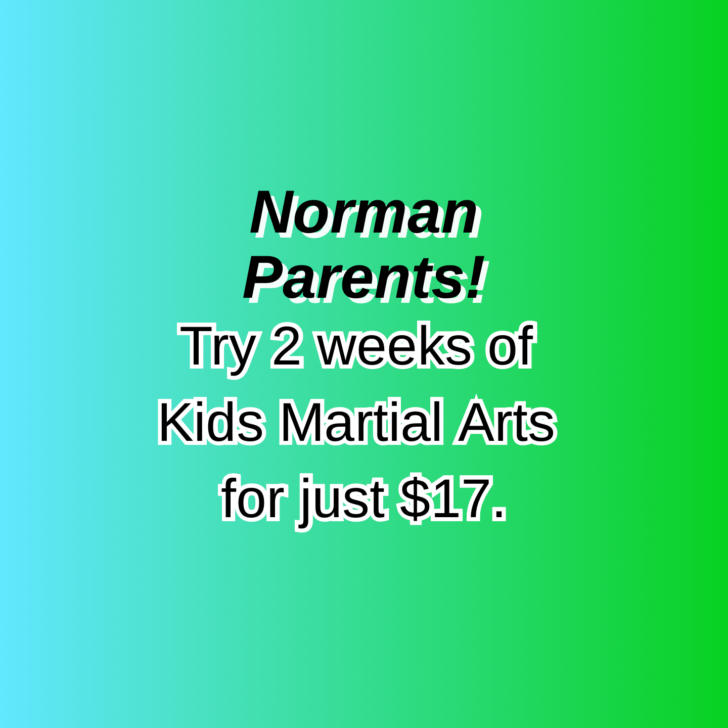 Vision Martial Arts Academy Facebook ad