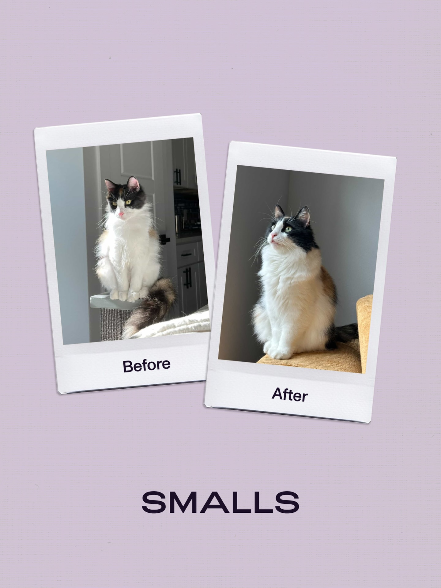 Smalls Facebook ad