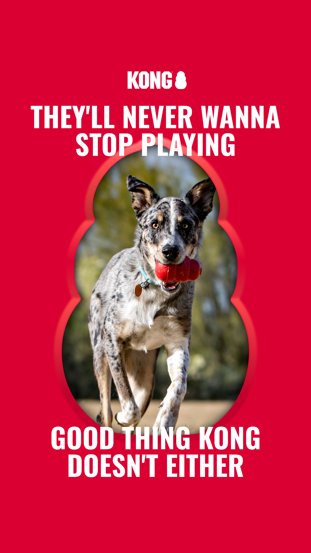 KONG Facebook ad: Dogs Love KONG