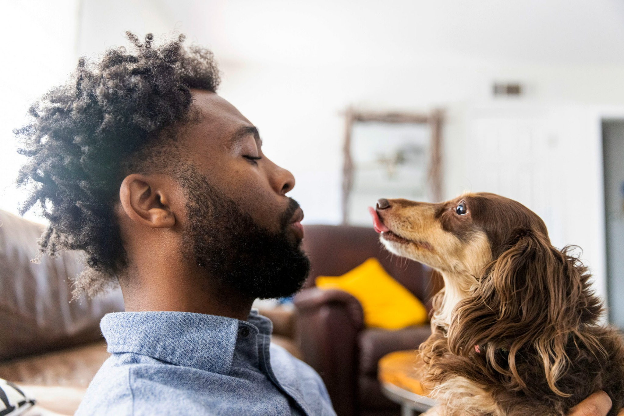 Nationwide Pet Facebook ad