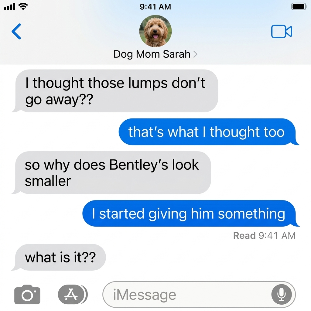 Dog Health Tips Facebook ad