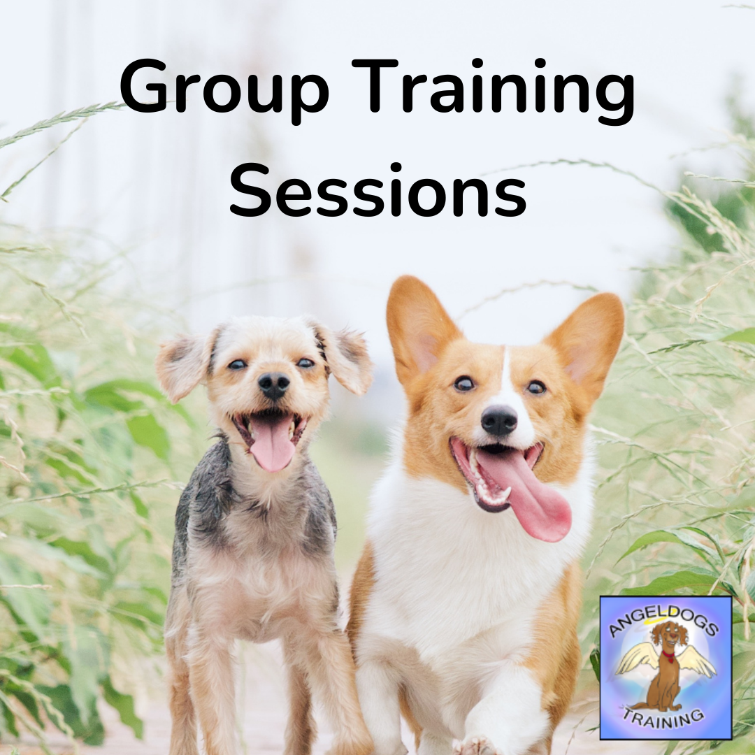 Santa Clarita Dog Training AngelDogs Facebook ad