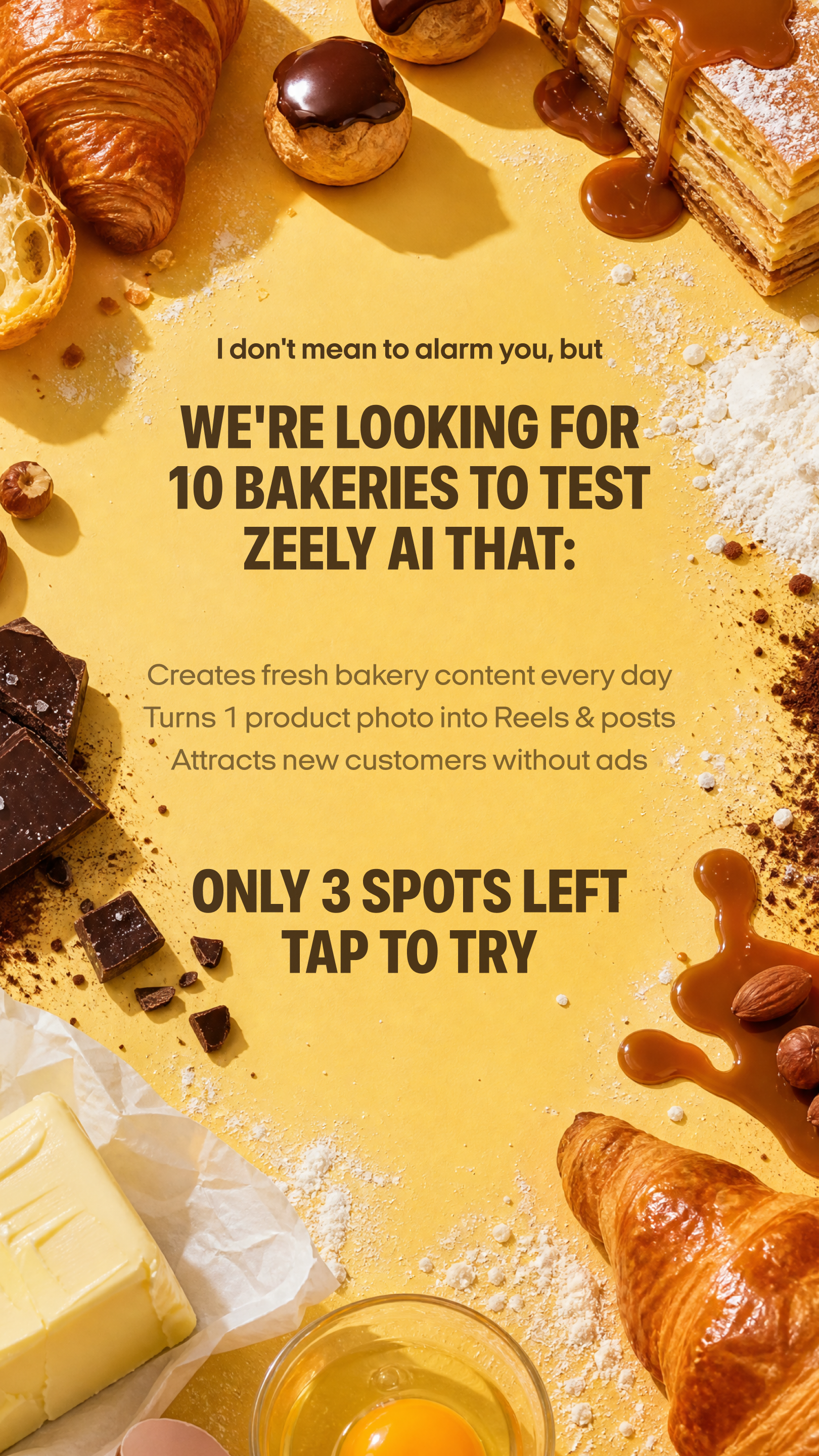 Zeely Facebook ad