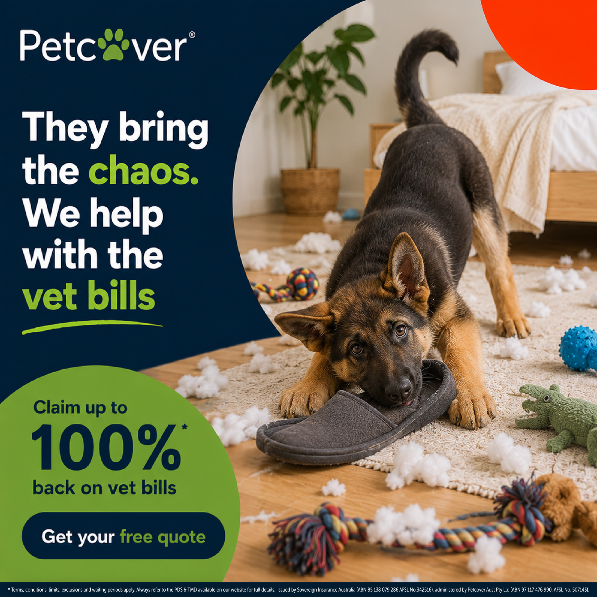 Petcover Australia Facebook ad: Comprehensive cover for your dog