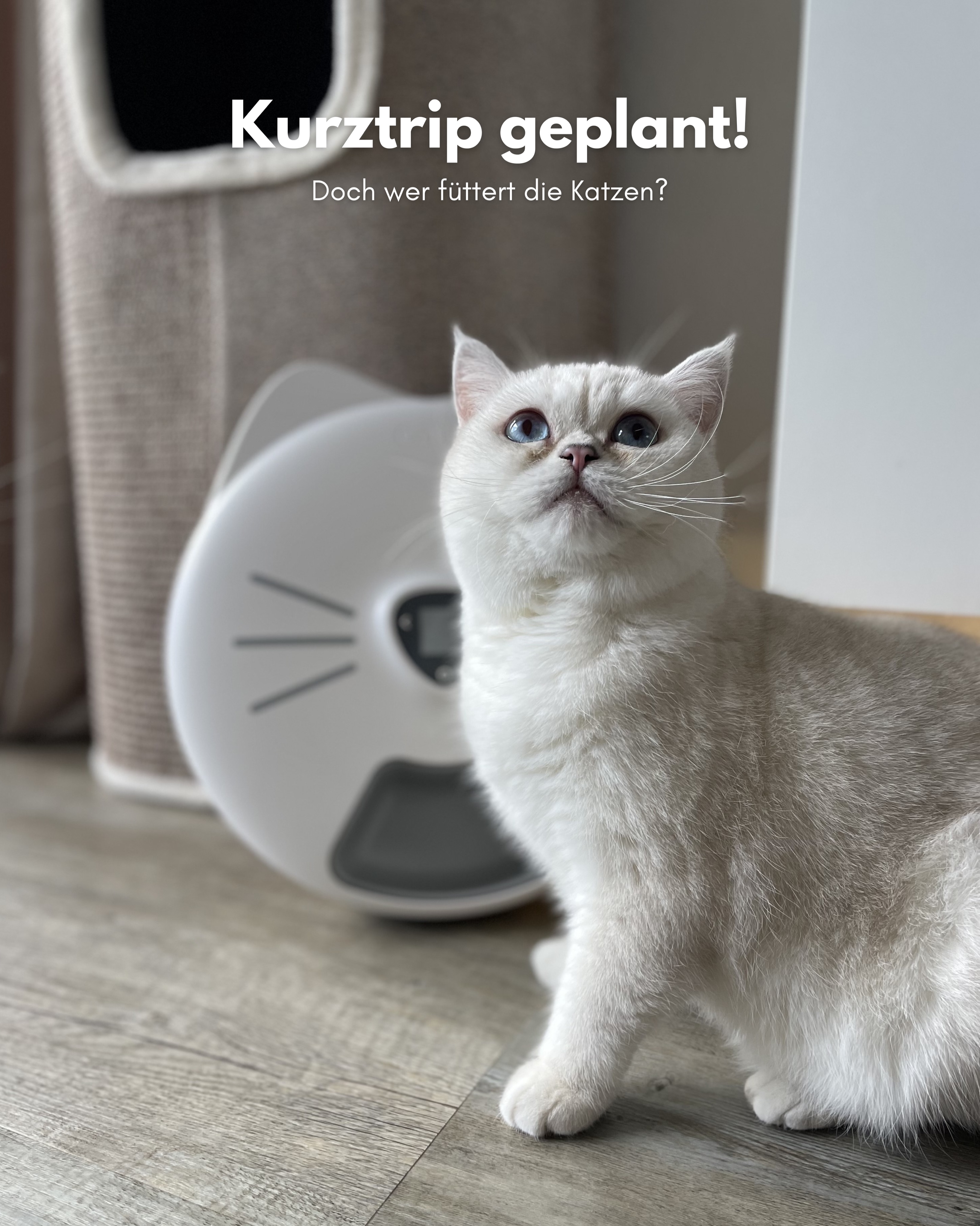 bkhpaws Facebook ad: Anzeige | Kurztrip geplant, aber wer füttert die…