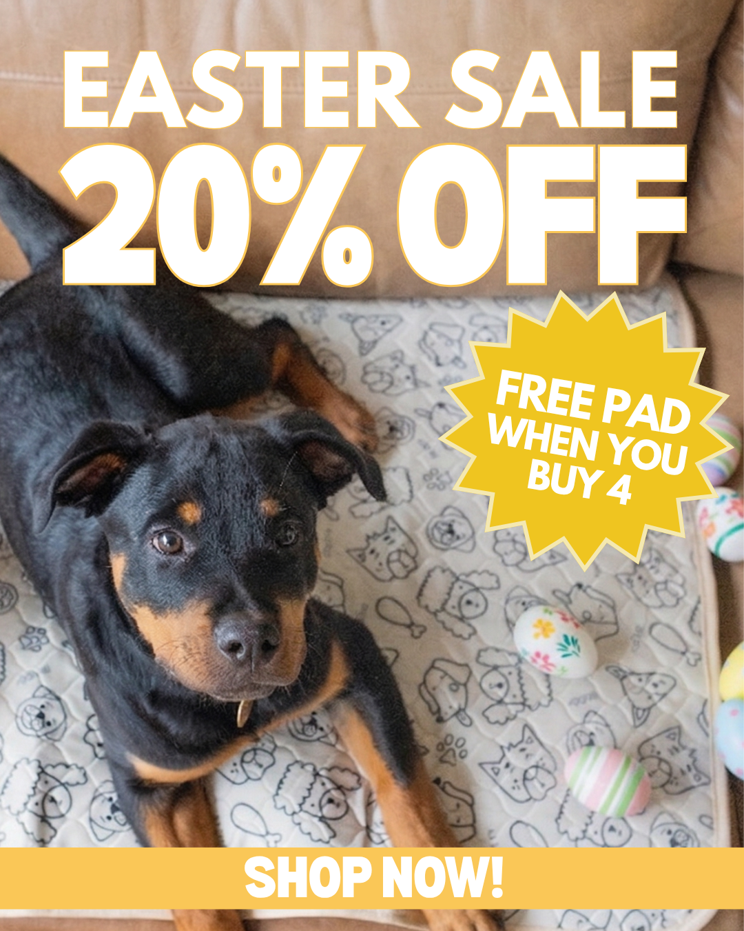 Potty Buddy Facebook ad