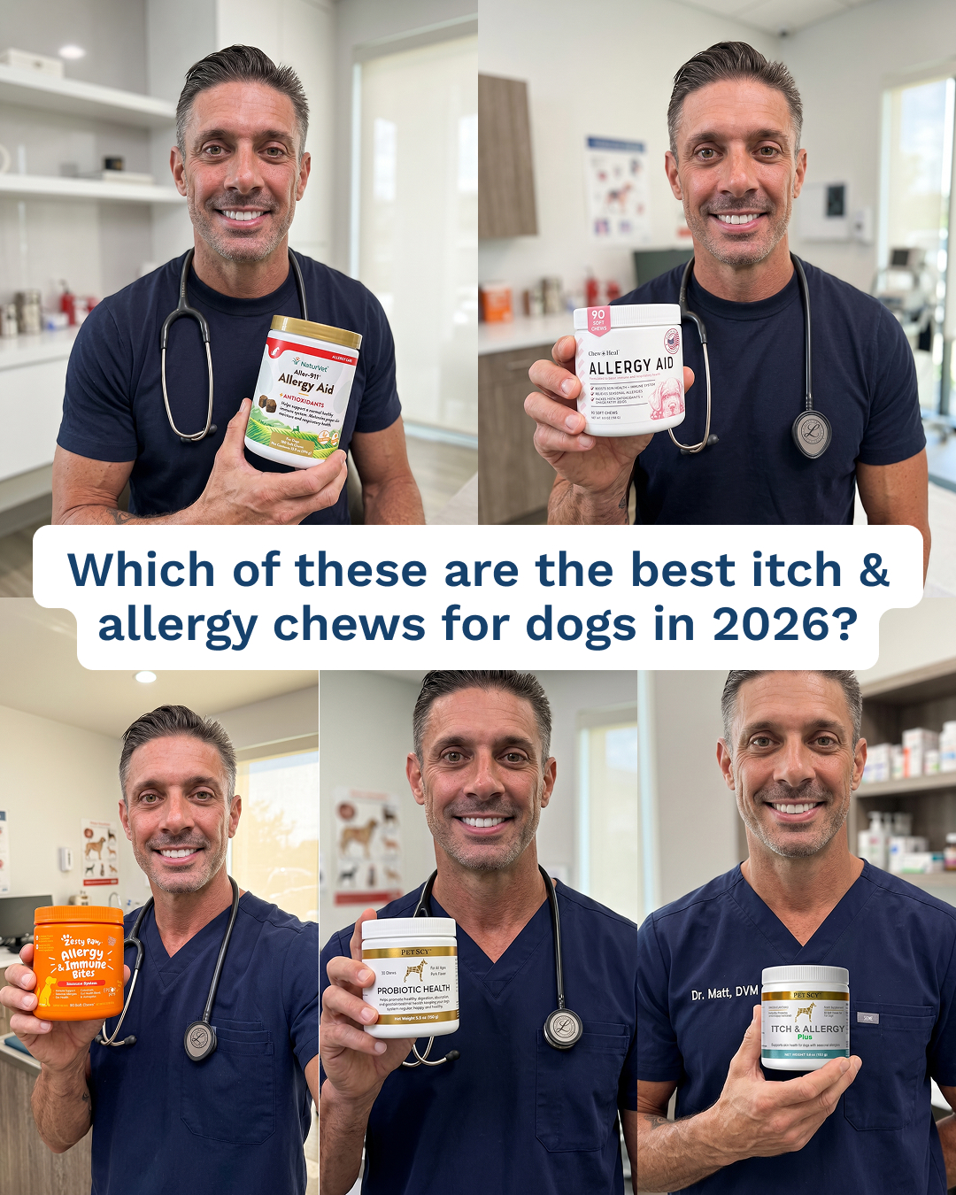 Nature's Dog: Wellness Journal Facebook ad: Before You Buy Dog Allergy Chews, Read This