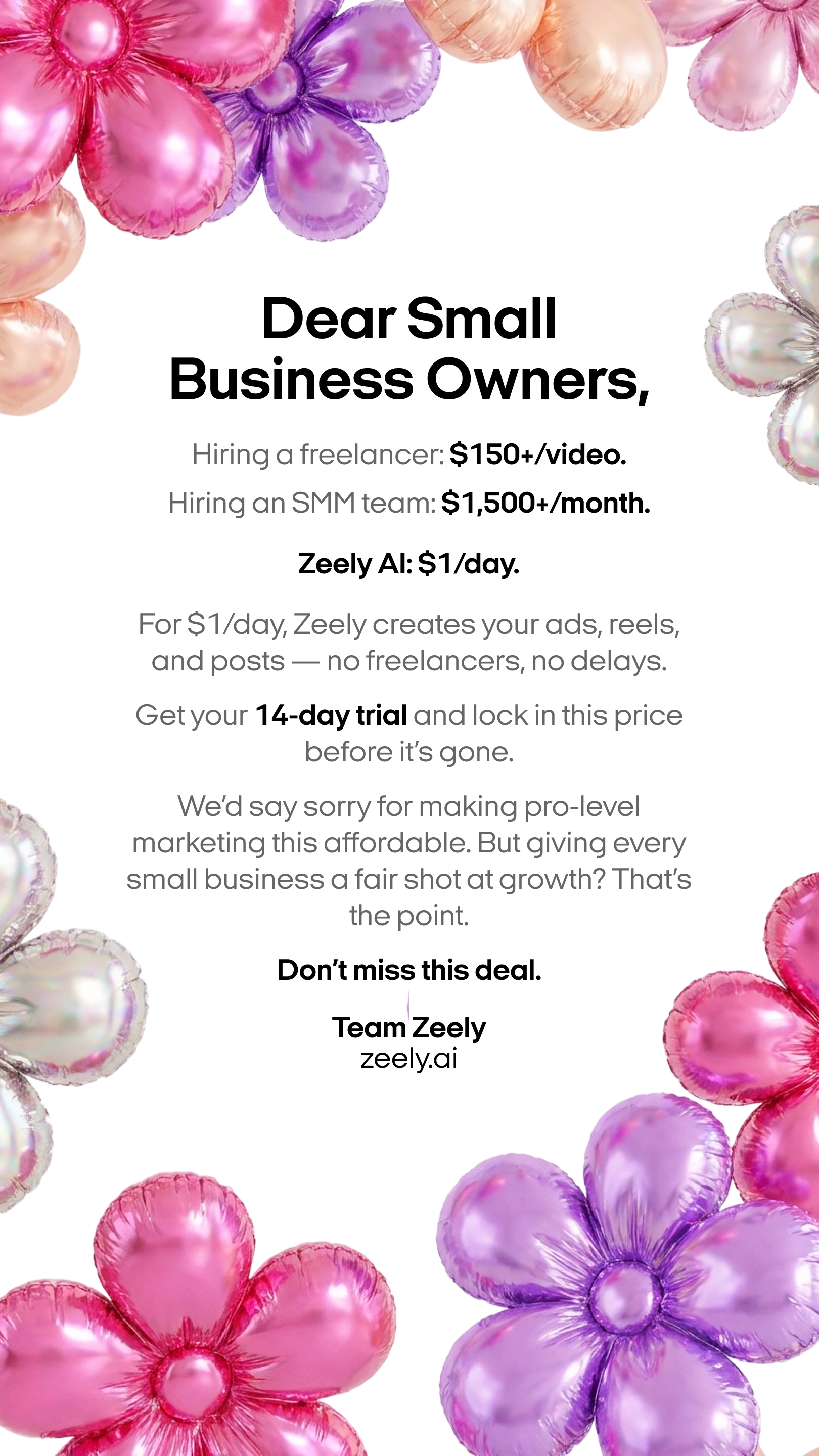 Zeely Facebook ad