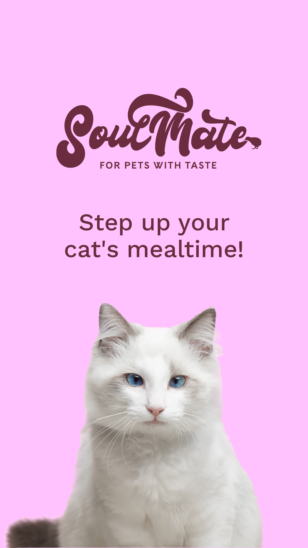 Petstock Facebook ad