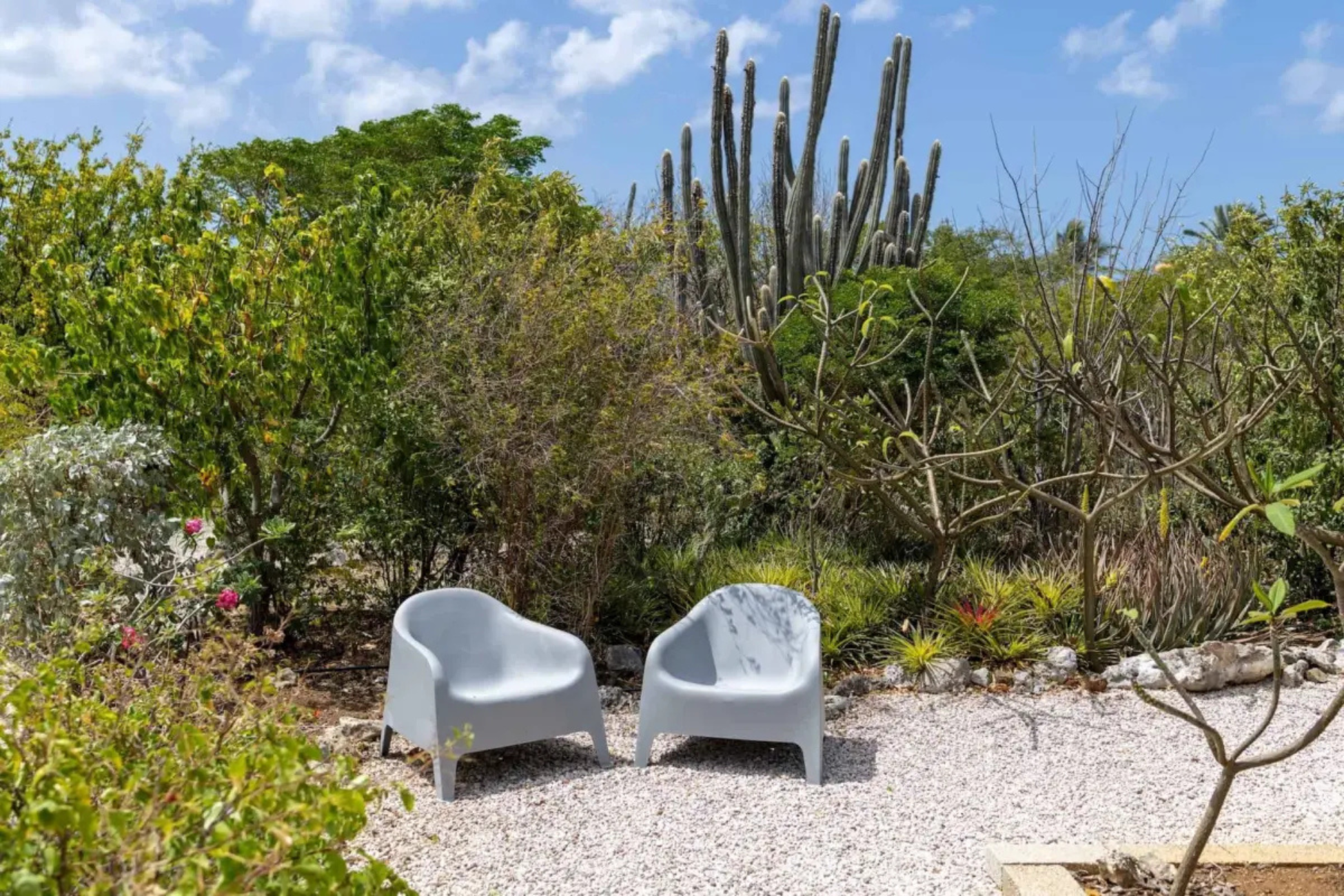 Coral Estate Rentals Curacao Facebook ad