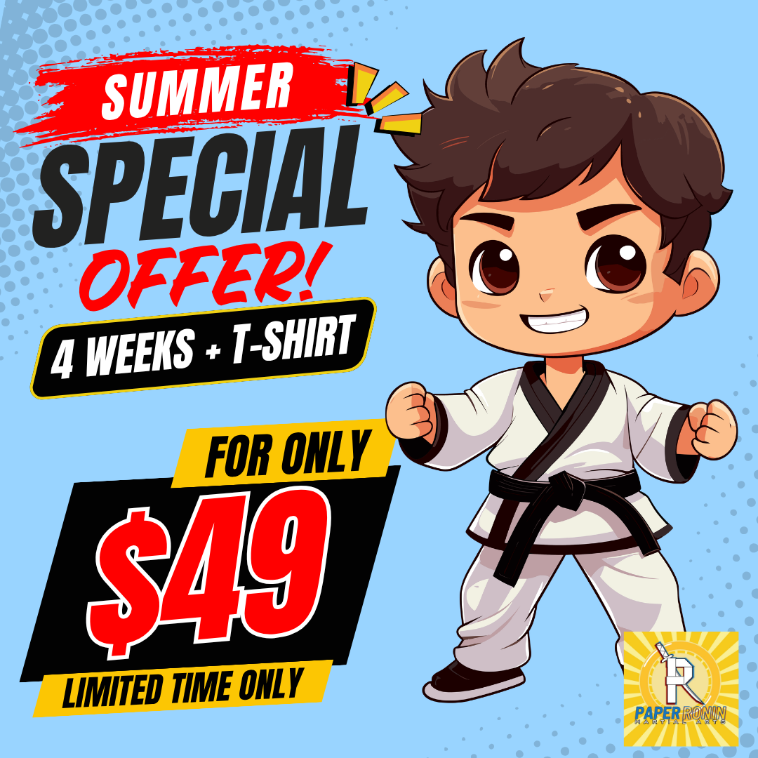 Paper Ronin Martial Arts Facebook ad