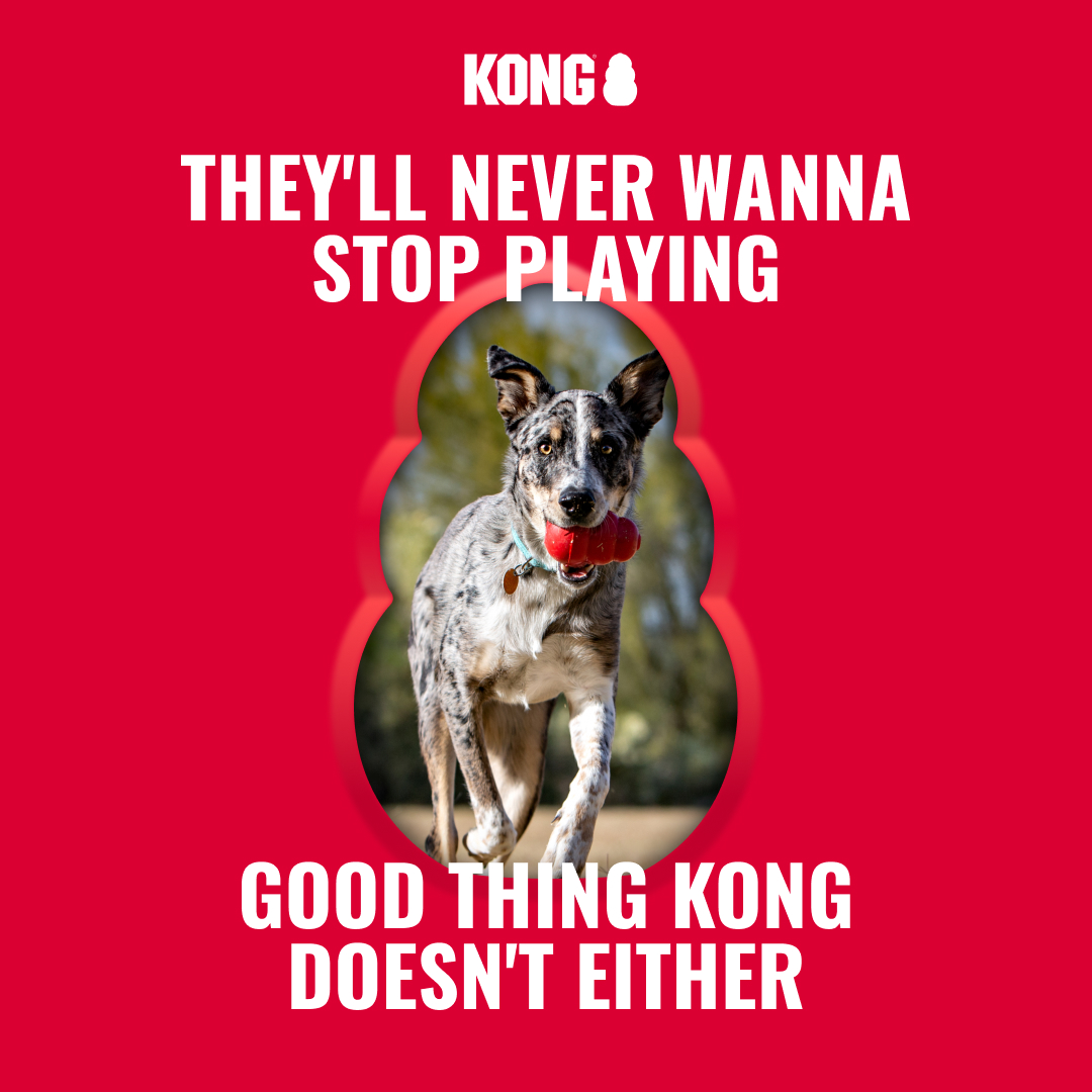 KONG Facebook ad