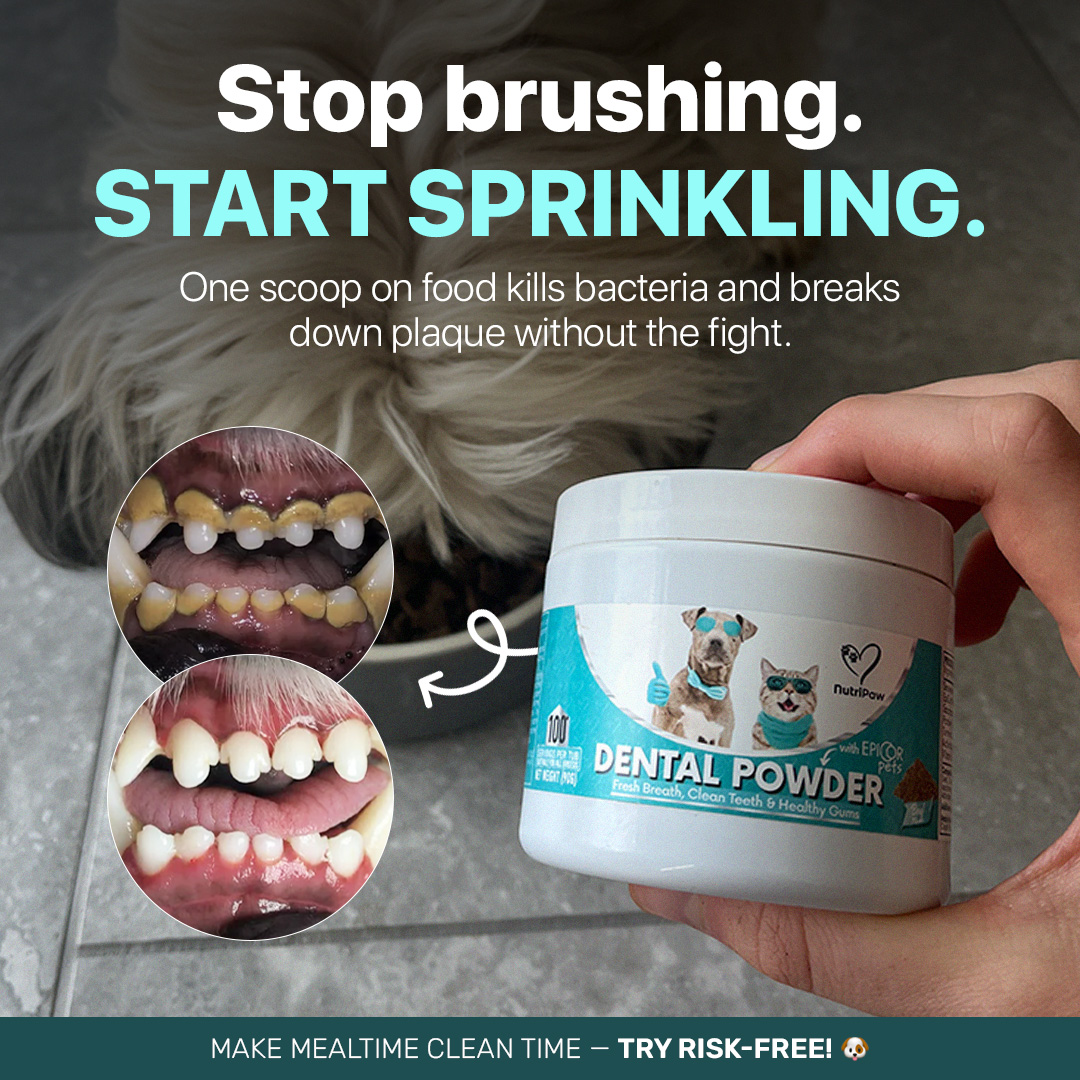 Healthy Dog 24/7 Facebook ad
