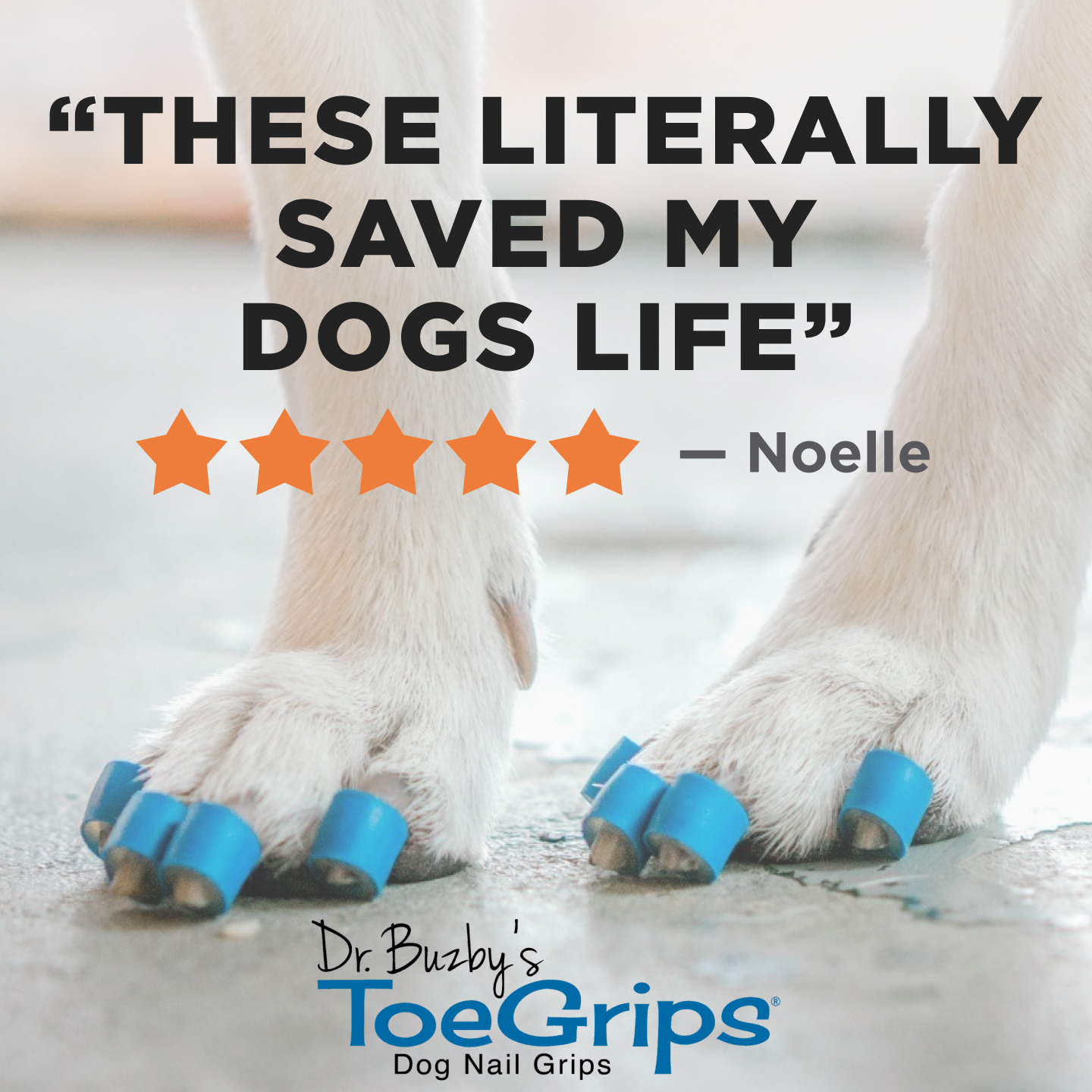 Dr. Buzby's ToeGrips for Dogs Facebook ad