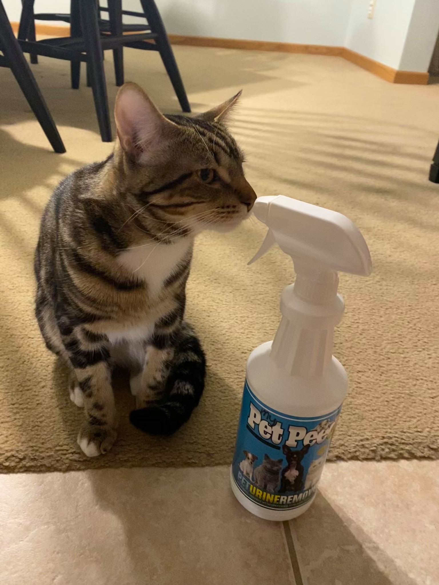 My Pet Peed - Pet Urine Remover Facebook ad