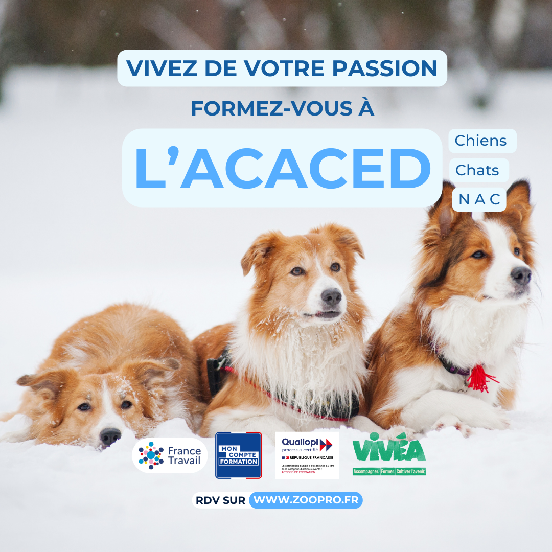Zoopro - formations sur les animaux Facebook ad