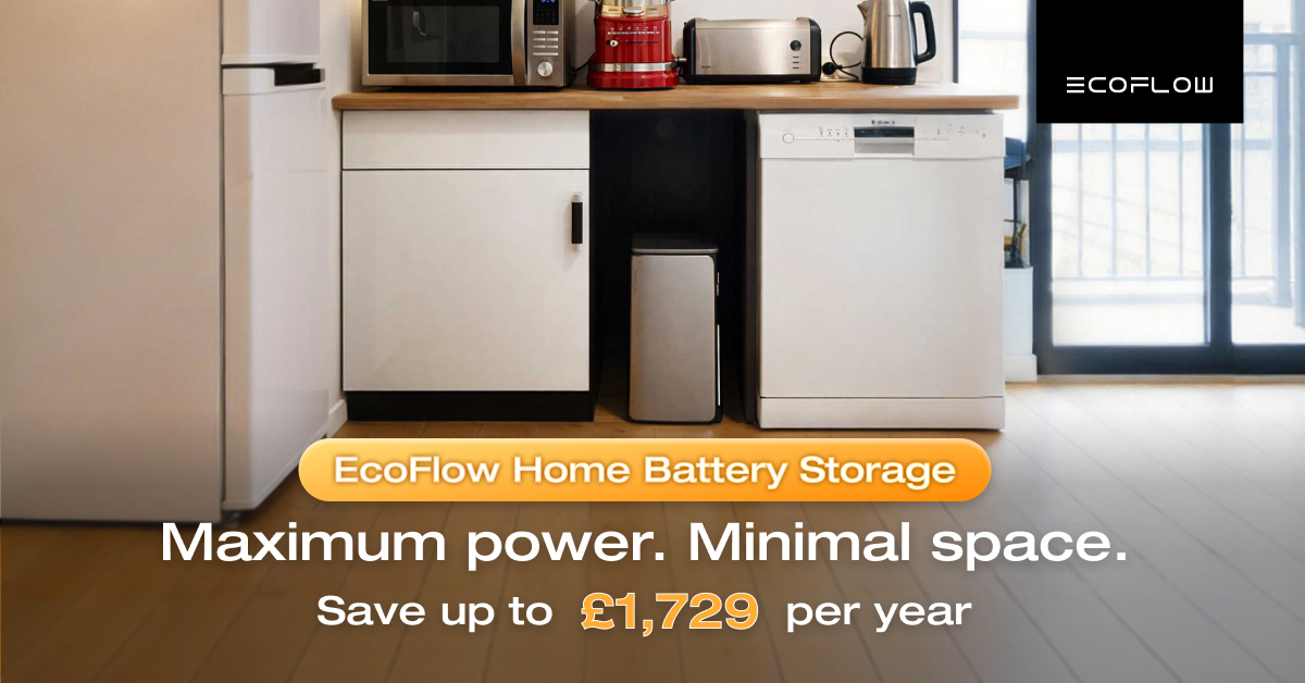EcoFlow Facebook ad