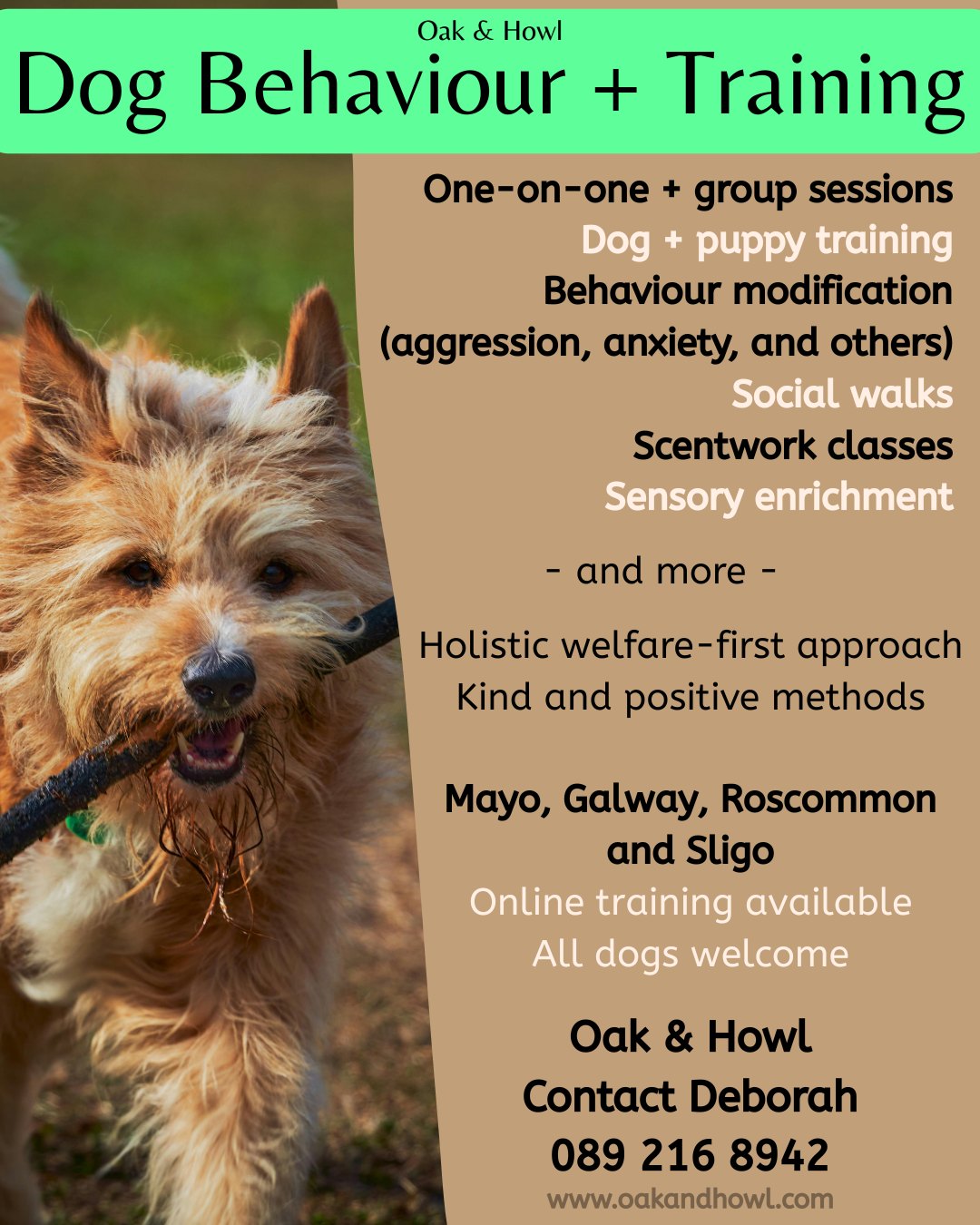 Oak & Howl Dog Behaviour and Training Facebook ad: Dog training, puppy training, and behaviour help