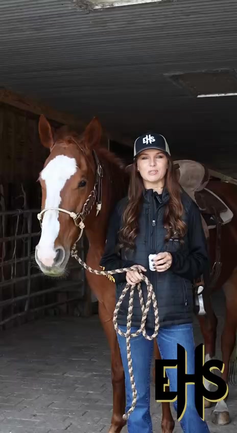 Equine Health Solutions Facebook ad: Training doesn't disappear under pressure. Focus does.